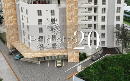 Palmetto 20