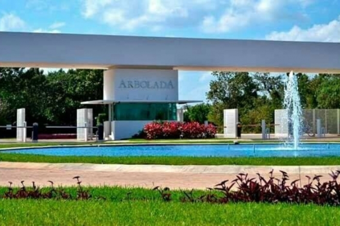 LOTES ARBOLADA